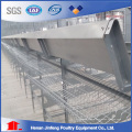 H Type Poultry Equipment Chicken Cage